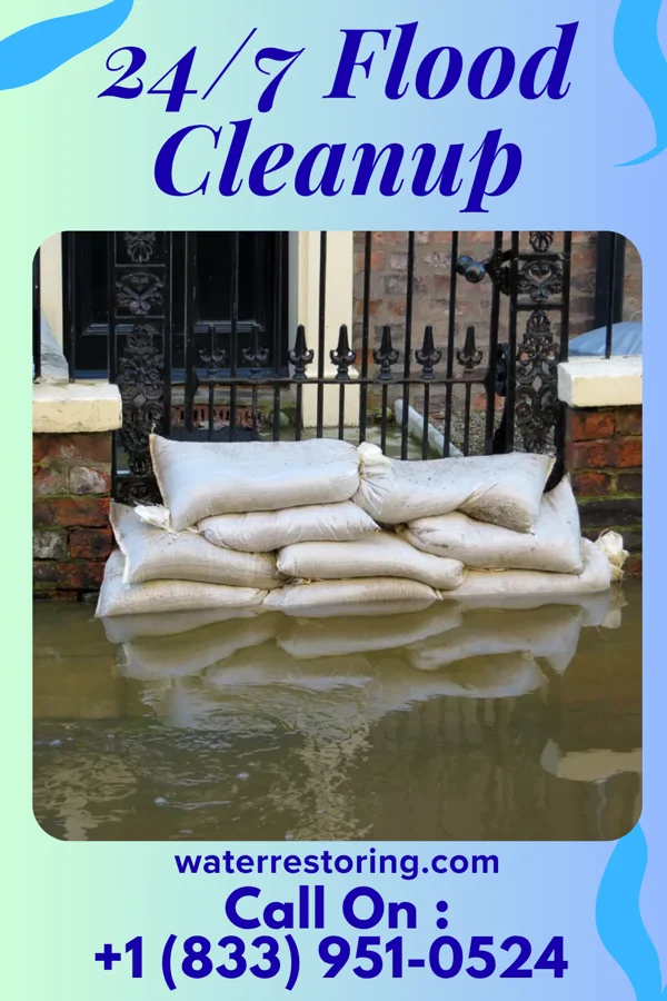 24/7 Flood Cleanup in Wayzata, MN