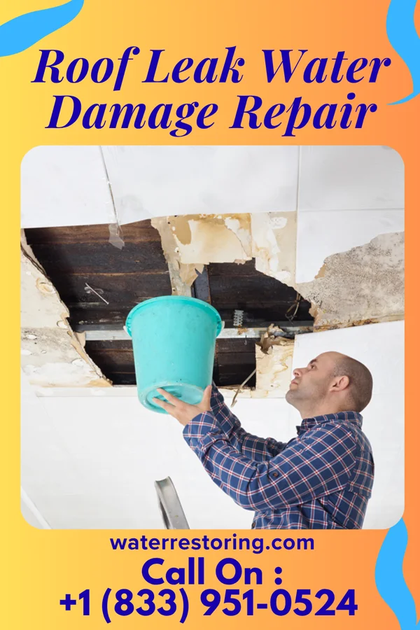 Roof Leak Water Damage Repair in Wayzata, MN