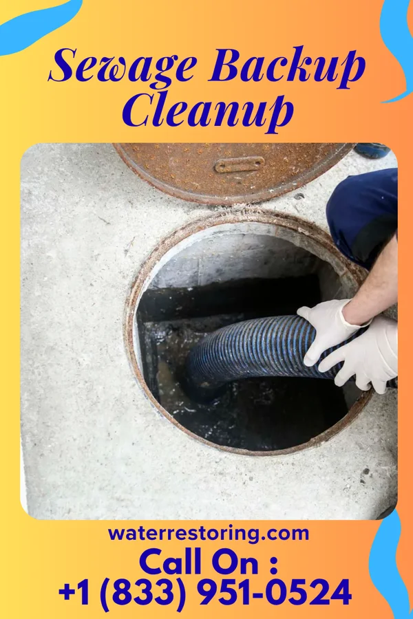 Sewage Backup Cleanup in Wayzata, MN